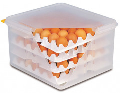 Box vajcia GN 2/3 35,4x32,5 cm, výška: 20 cm polypropylén (Box+vrchnák)