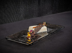 Tanier sushi TAKASHI 26x13cm, výška:1,5cm, sklo farba francúzska šedá